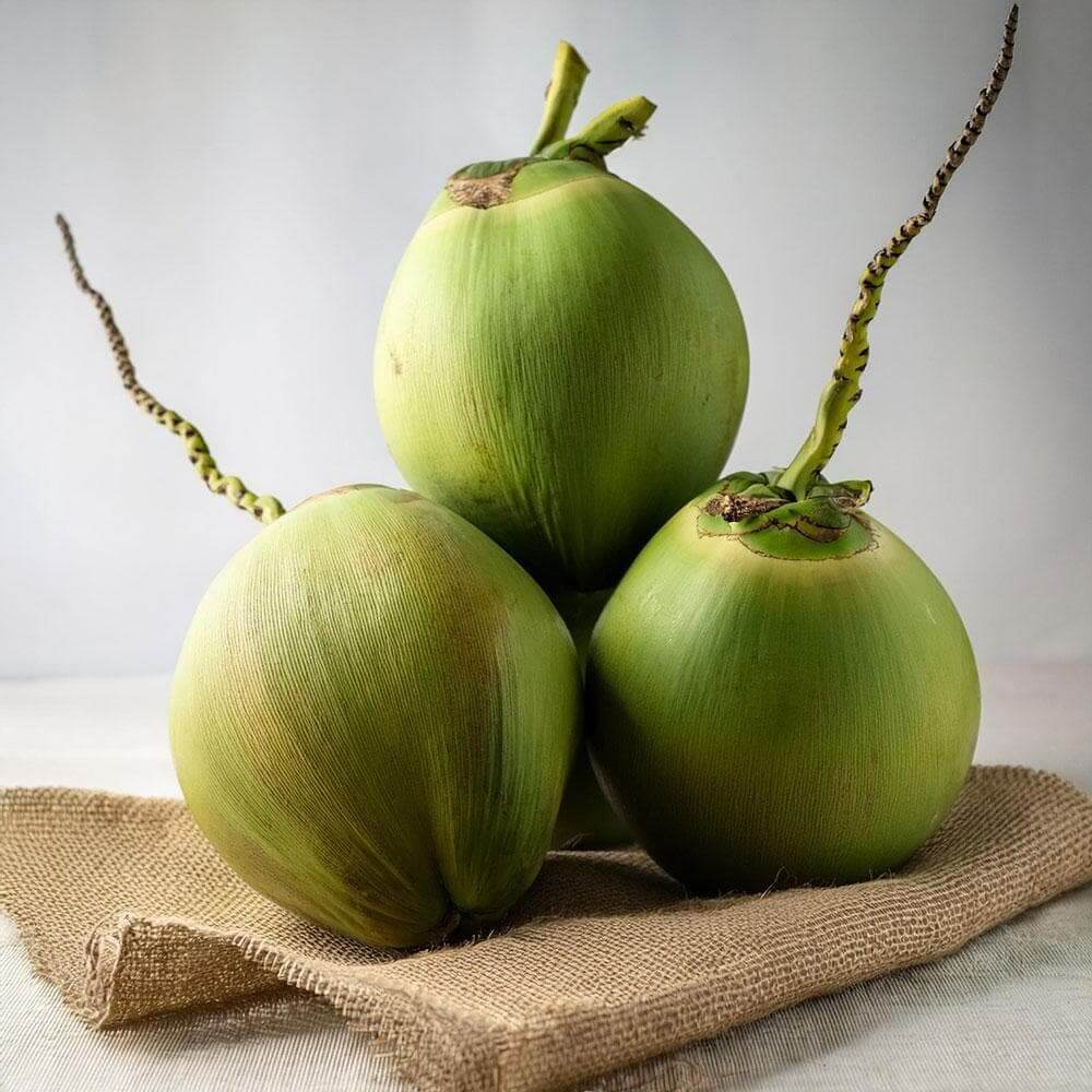 3 Pcs Coconut