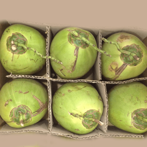 6 Pcs Coconut