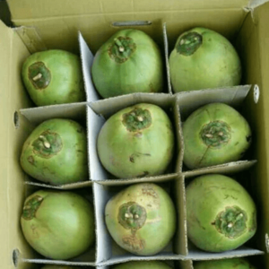 9 Pcs Coconut